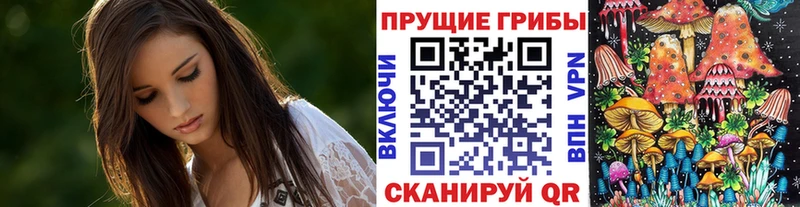 Галлюциногенные грибы ЛСД Купить закладки Приморско-Ахтарск